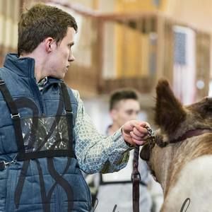 Meet your Posher, Hunter